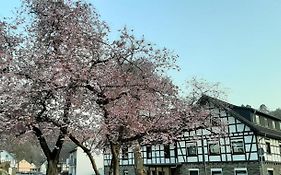 Vivanatura Eifelferienstudio